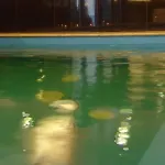 Hotel Corvin 3*
